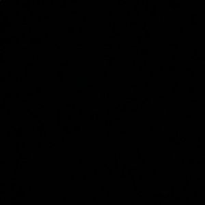 Meet your Posher, Silvia